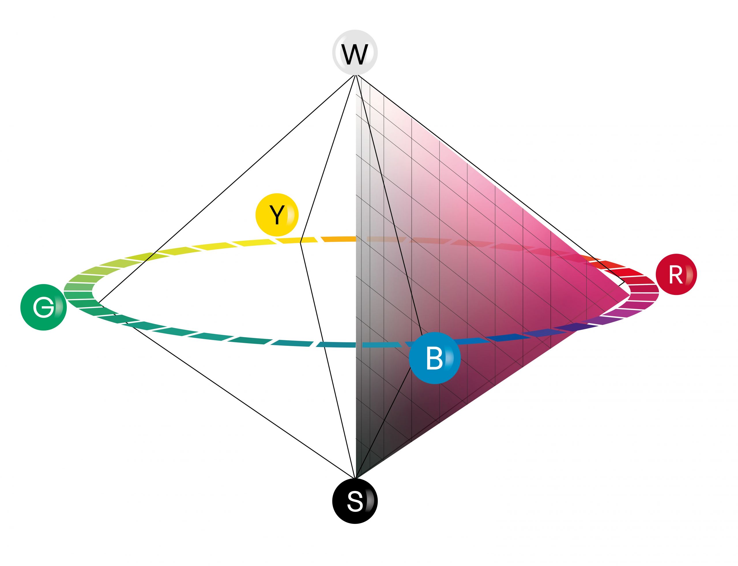 NCS Colour Space